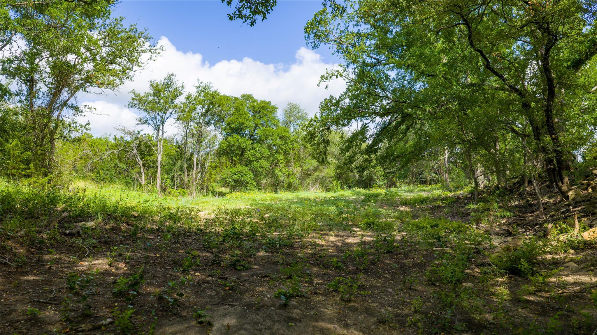 000 County Road 180 Road Purmela TX 76566