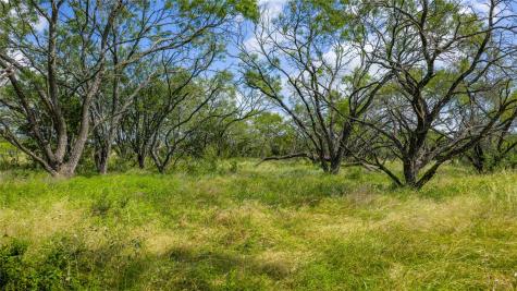 000 County Road 180 Road Purmela TX 76566