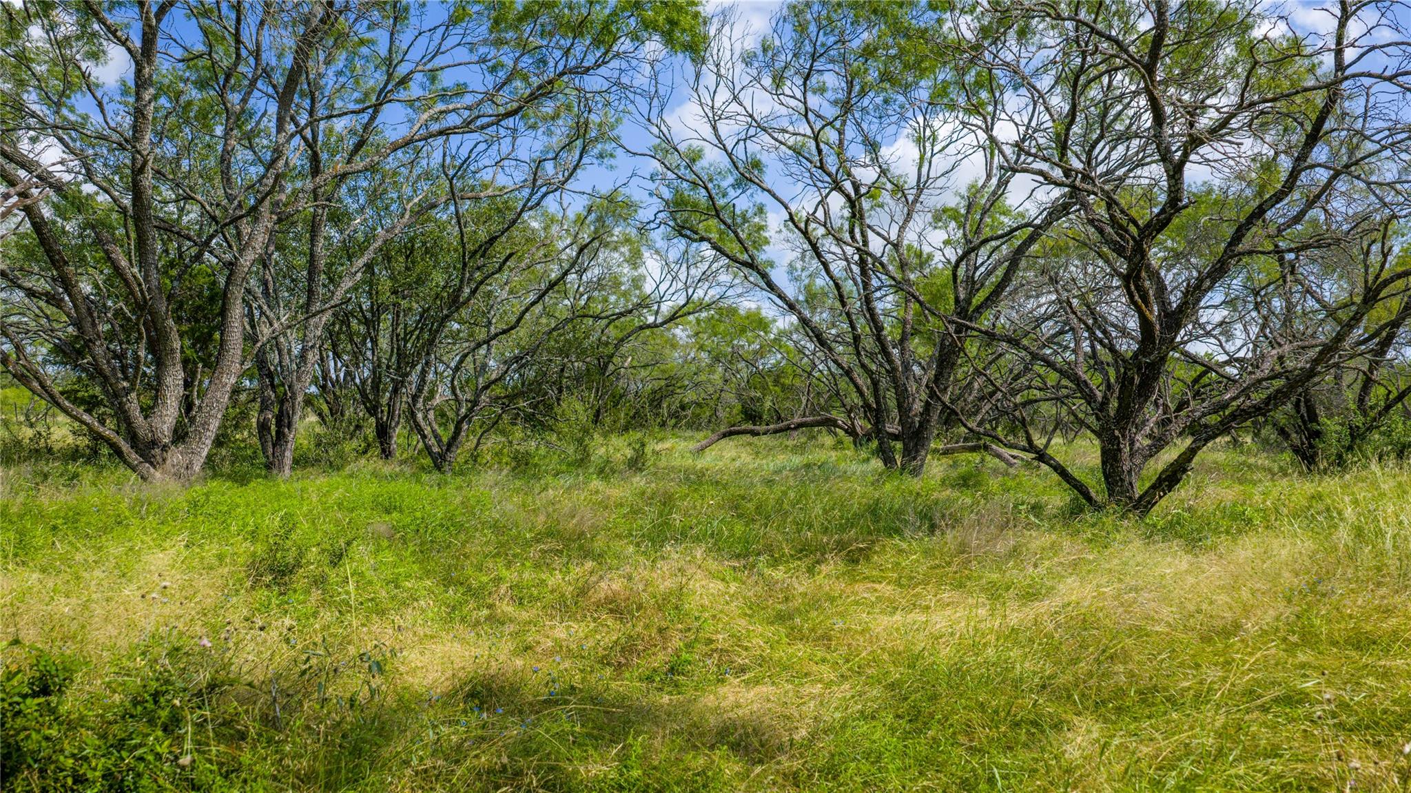 000 County Road 180 Road Purmela TX 76566