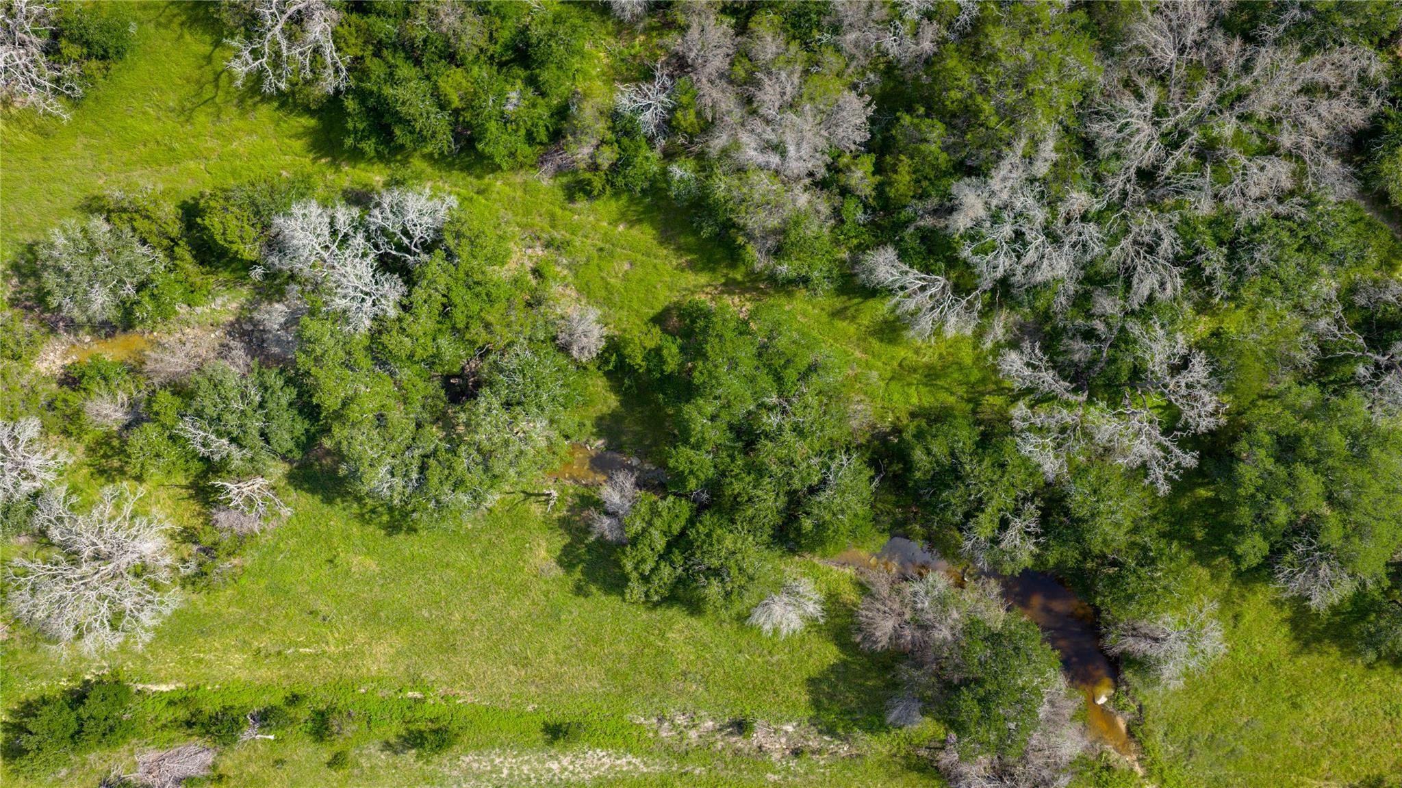 000 County Road 180 Road Purmela TX 76566