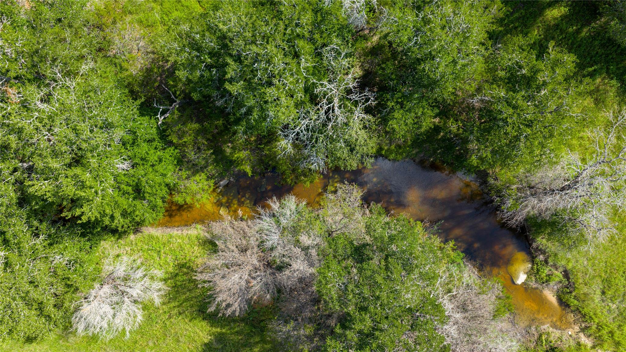 000 County Road 180 Road Purmela TX 76566