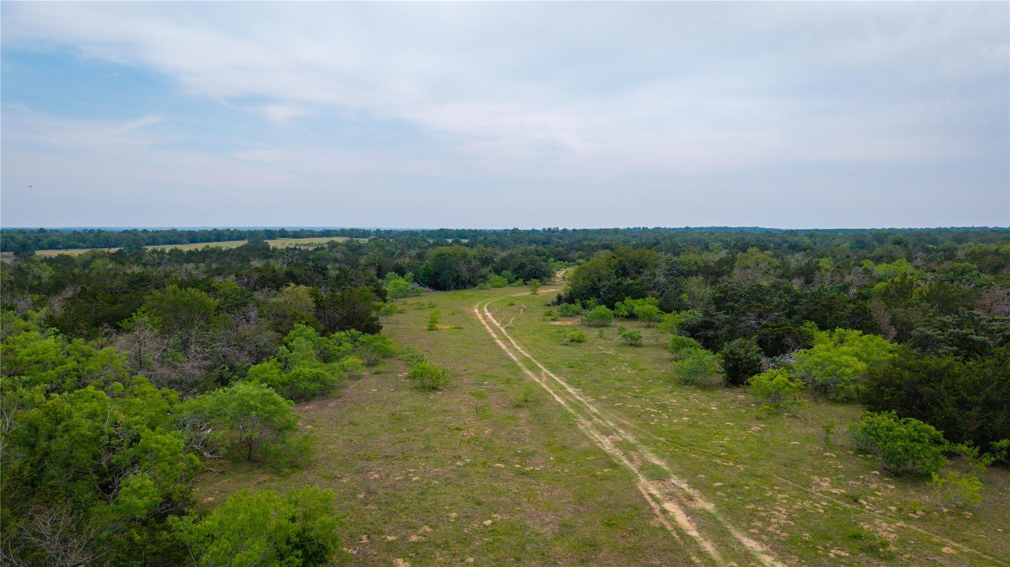 TBD(2) Walter Hoffman Road Cedar Creek TX 78612