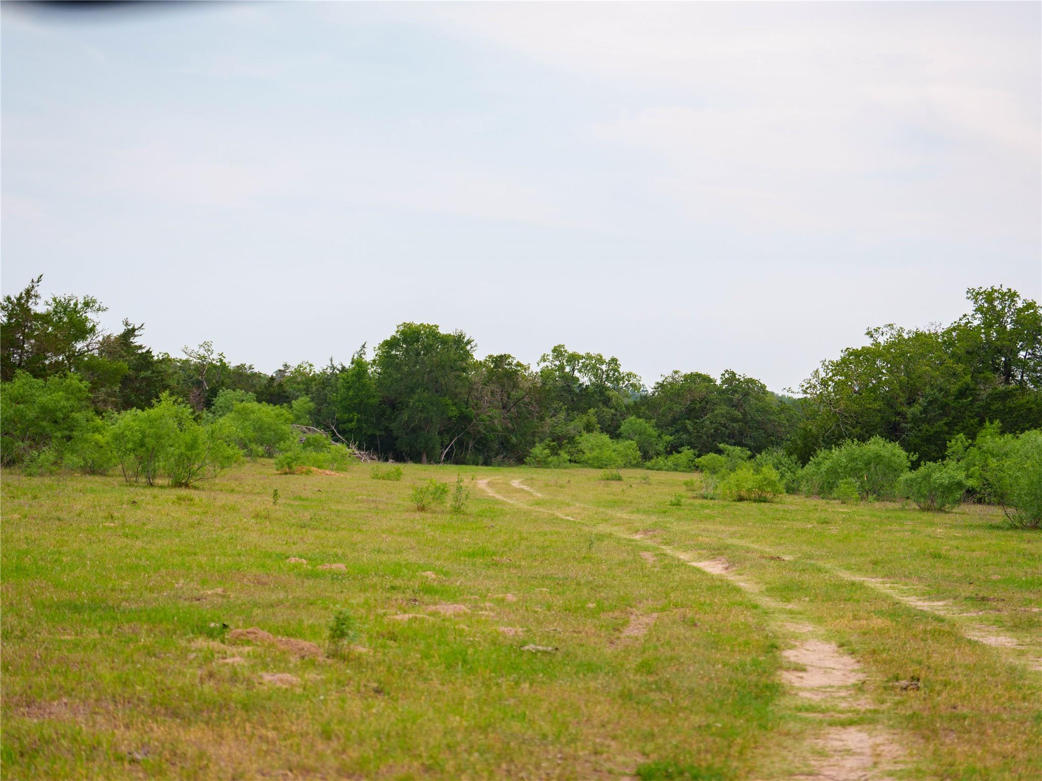 TBD(2) Walter Hoffman Road Cedar Creek TX 78612