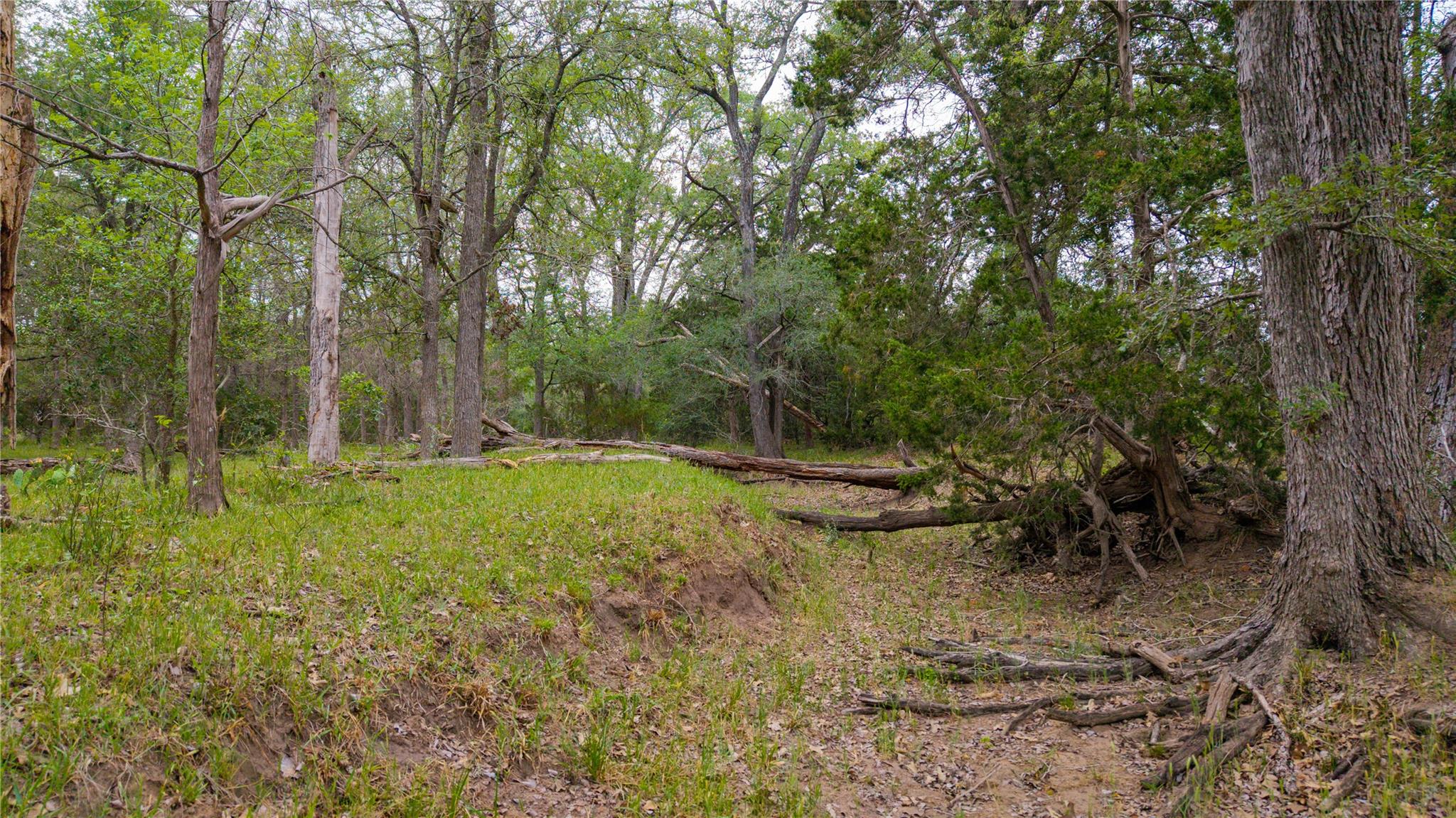 TBD(2) Walter Hoffman Road Cedar Creek TX 78612