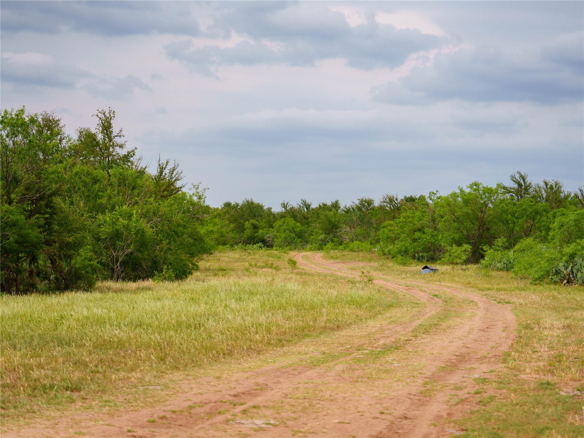TBD(2) Walter Hoffman Road Cedar Creek TX 78612