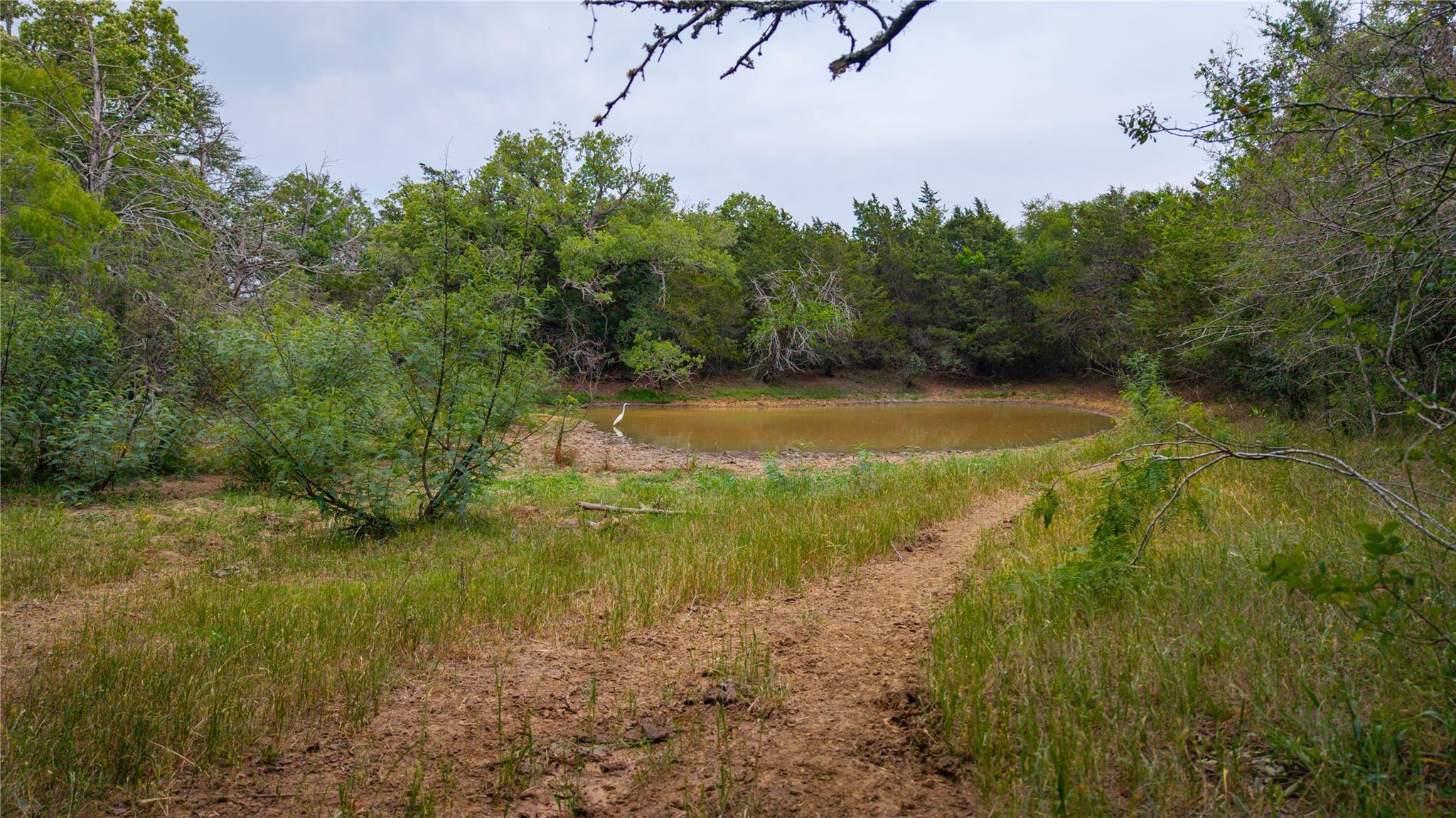 TBD(2) Walter Hoffman Road Cedar Creek TX 78612