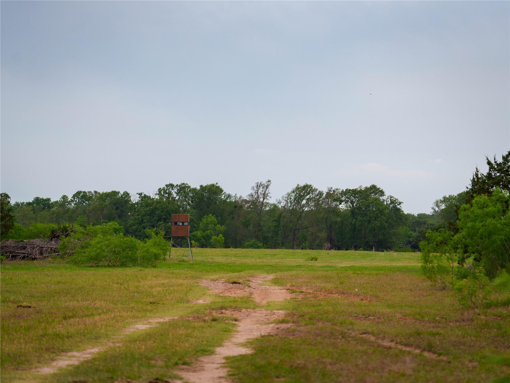 TBD(2) Walter Hoffman Road Cedar Creek TX 78612