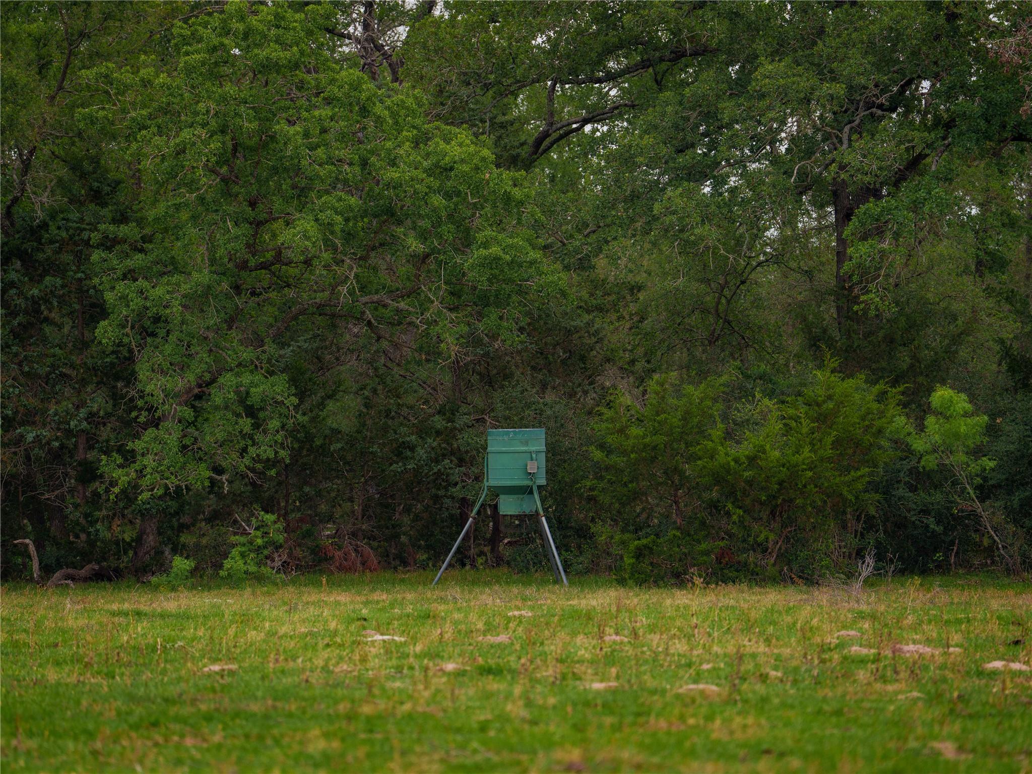 TBD(2) Walter Hoffman Road Cedar Creek TX 78612