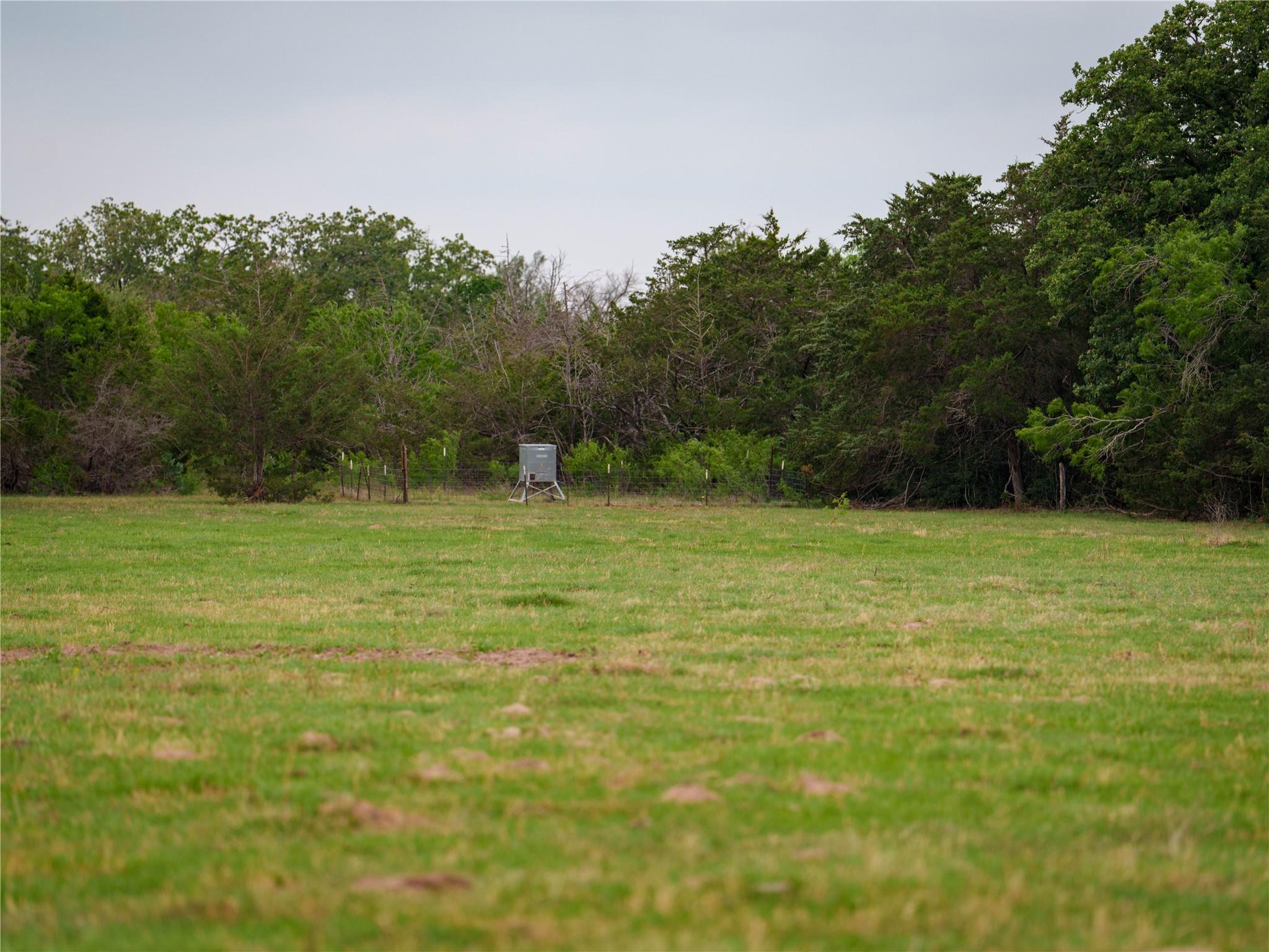 TBD(2) Walter Hoffman Road Cedar Creek TX 78612