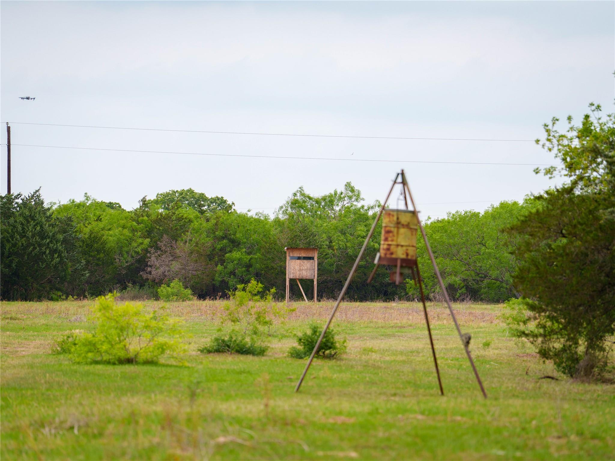 TBD(2) Walter Hoffman Road Cedar Creek TX 78612