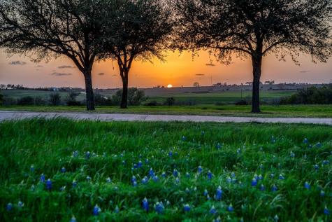 20383 State Highway 159 W New Ulm TX 78950