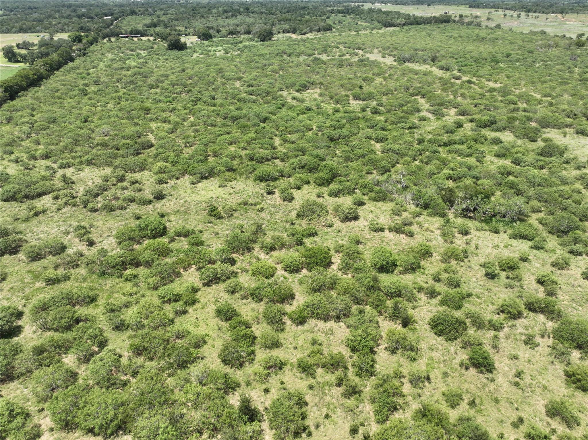 Tbd Lot 10 Young Lane Lockhart TX 78662