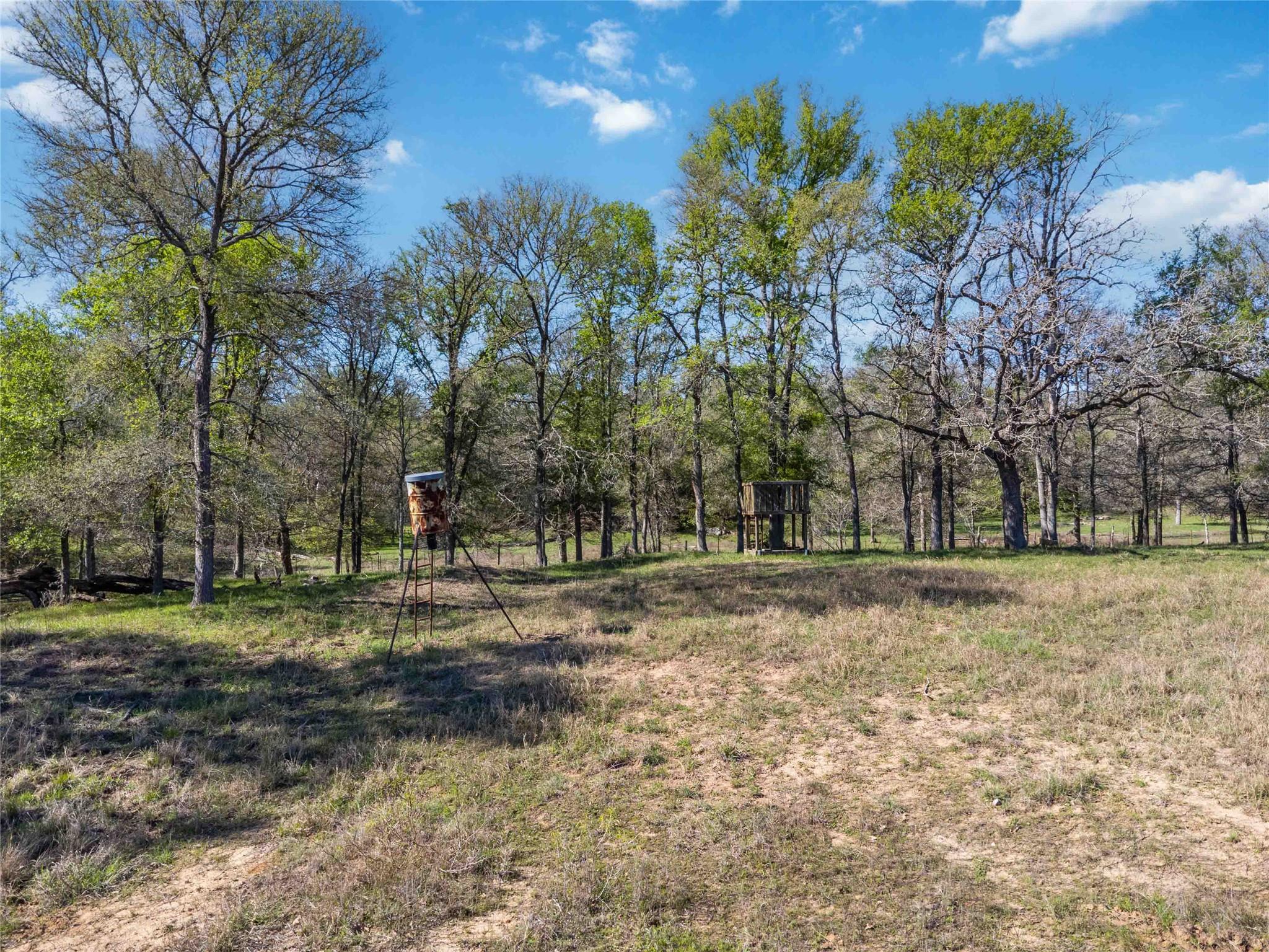0000 Sandy Creek Road Red Rock TX 78662