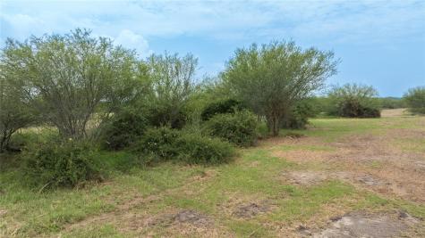 Lot 14 Concrete Edgar Road Cuero TX 77954