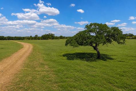 3995 County Road 405 Lexington TX 78947
