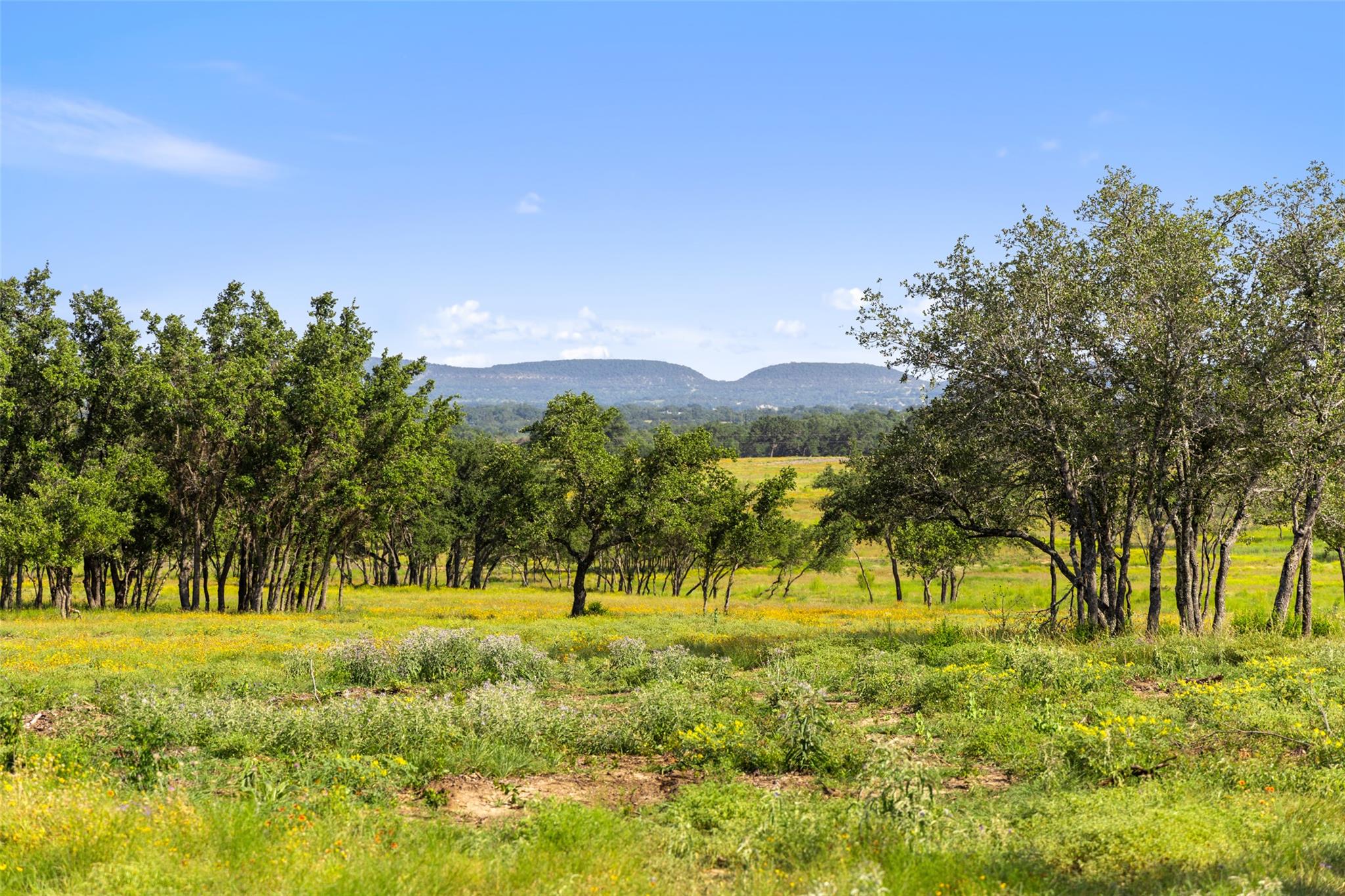 365 Gipson Road Johnson City TX 78636