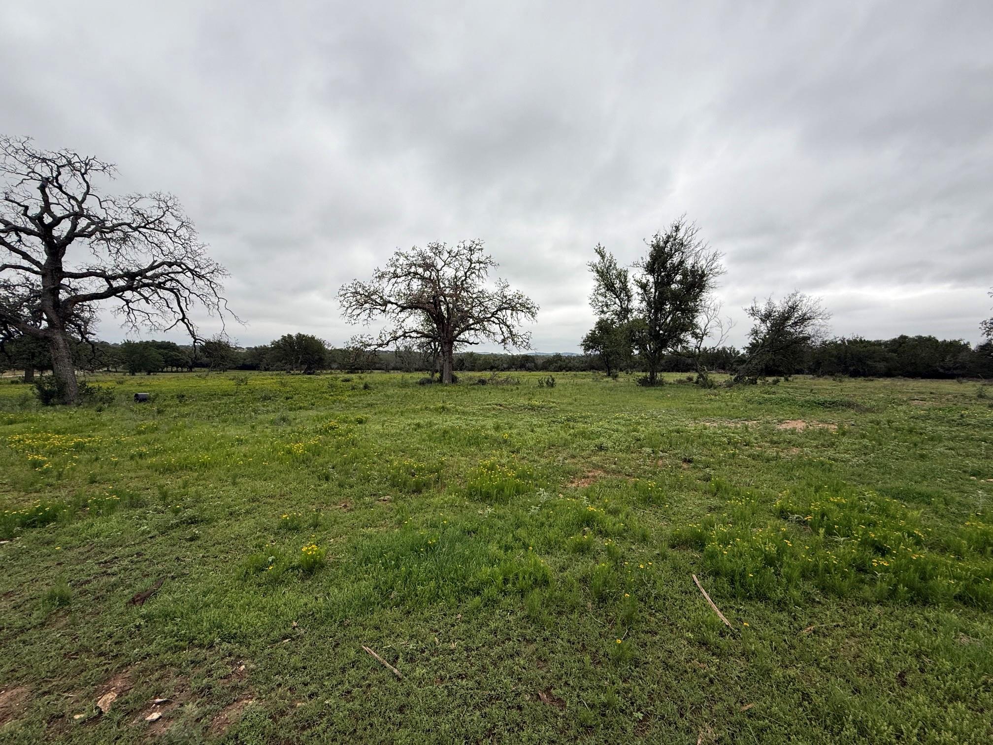 1399 Klett Ranch Road Johnson City TX 78636