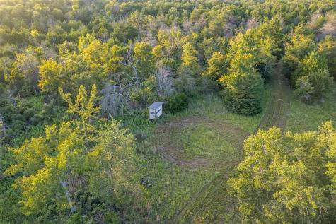 2033 Lcr 704 Road Groesbeck TX 76653