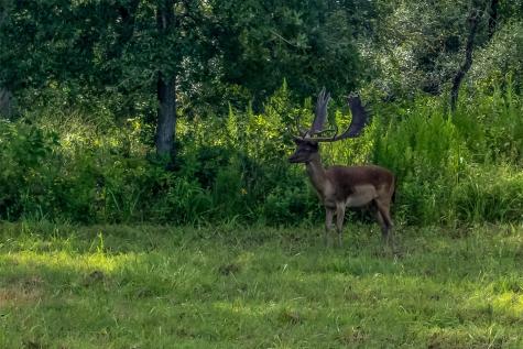 2033 Lcr 704 Road Groesbeck TX 76653