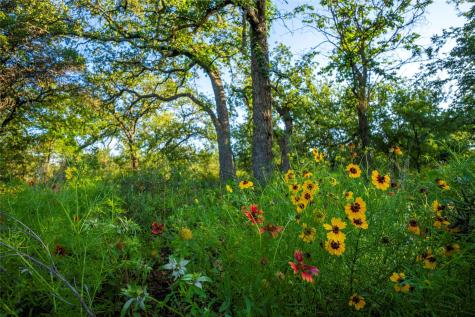 Tbd Creek 260 Richland Springs TX 76871