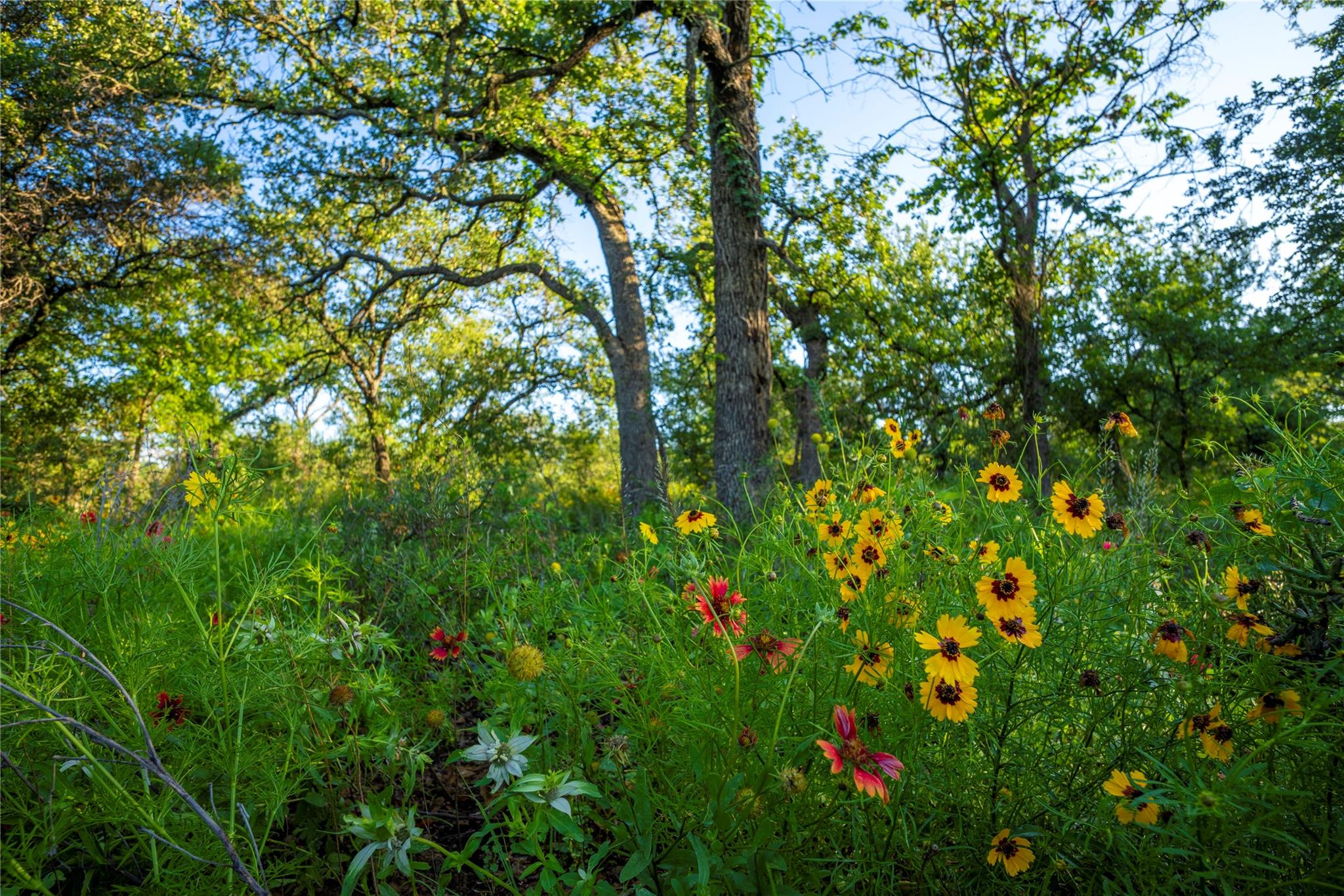 Tbd Creek 260 Richland Springs TX 76871