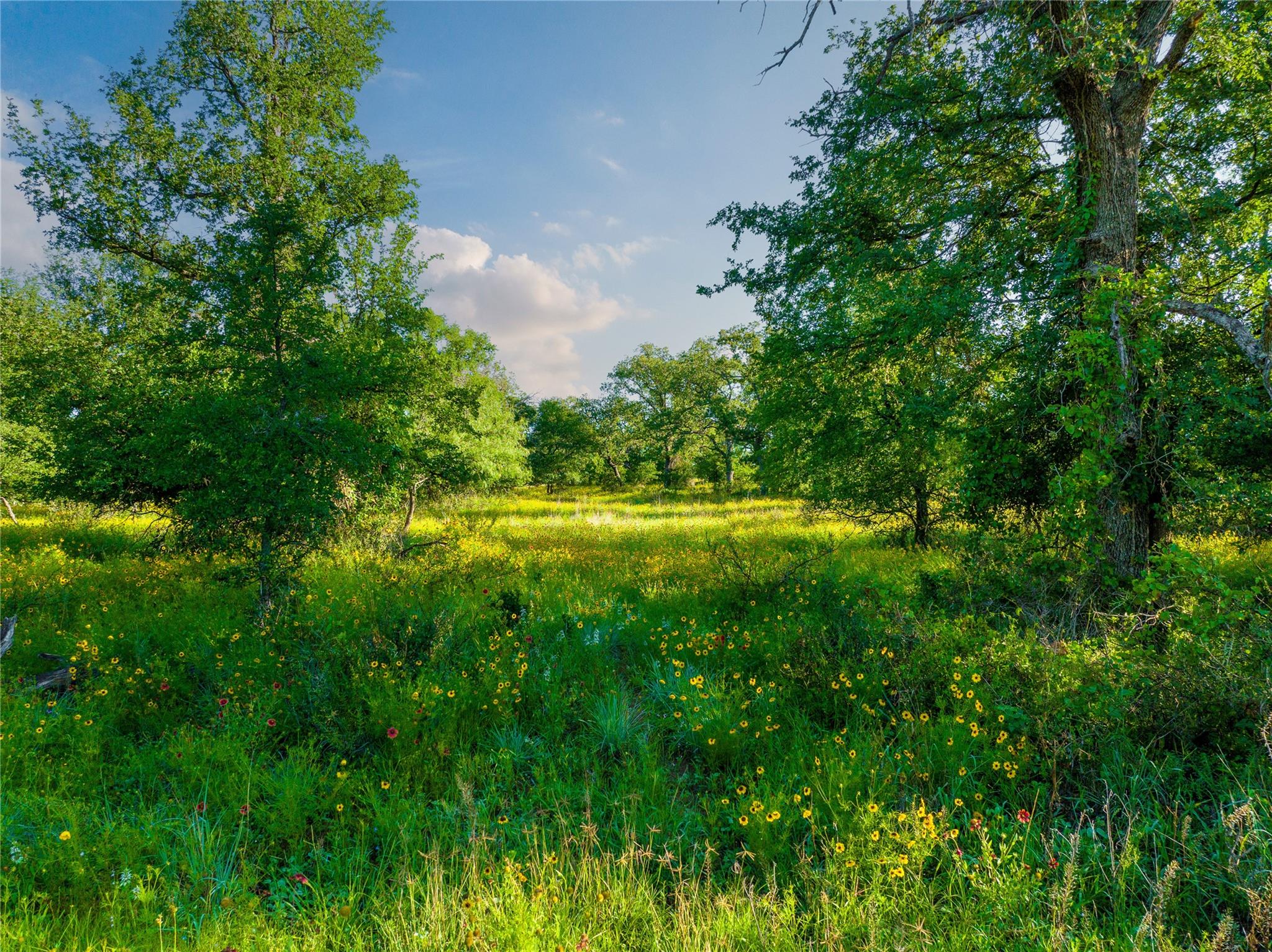 Tbd Creek 260 Richland Springs TX 76871