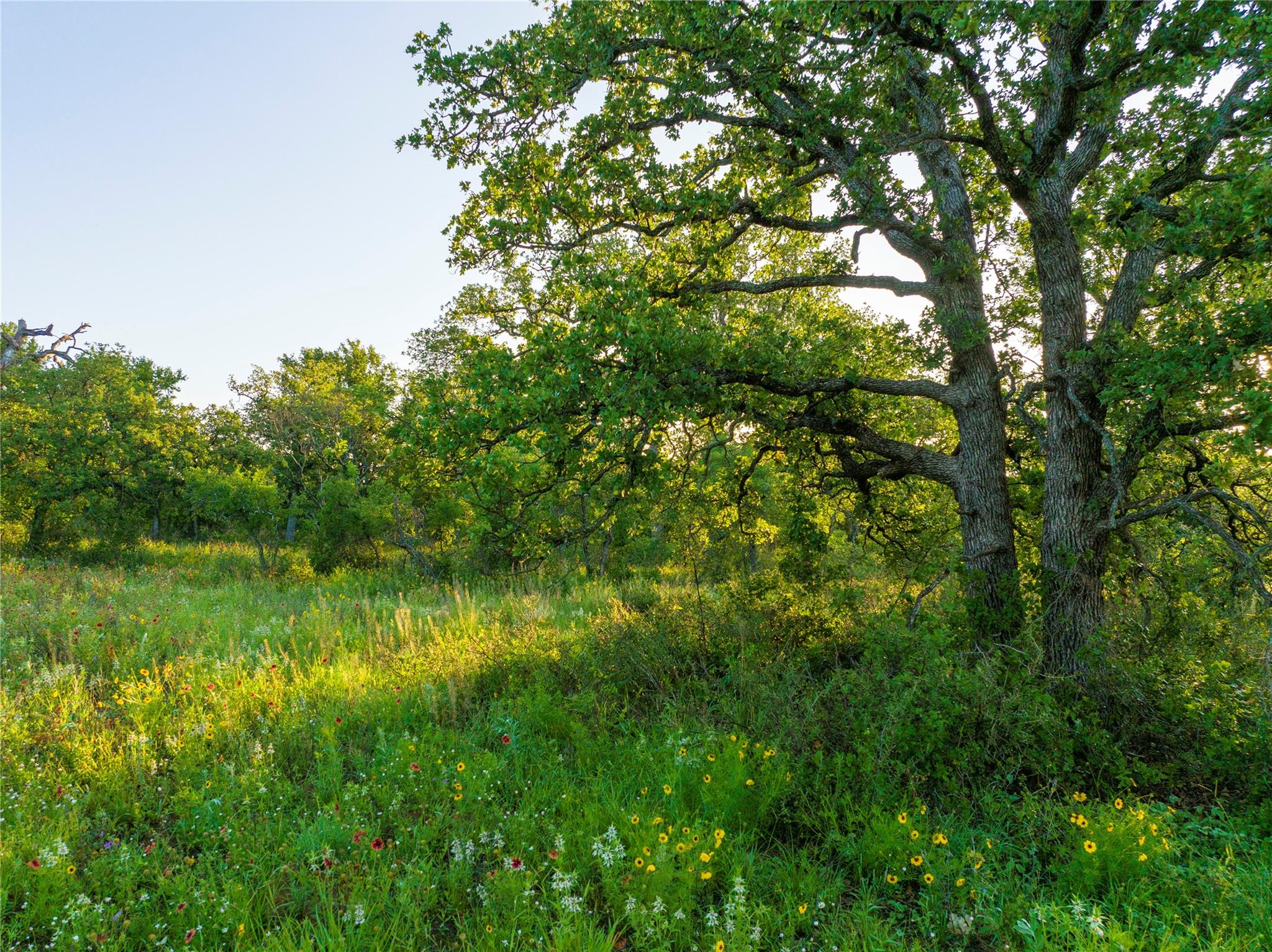 Tbd Creek 260 Richland Springs TX 76871