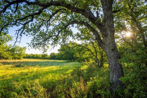 Tbd Creek 260 Richland Springs TX 76871