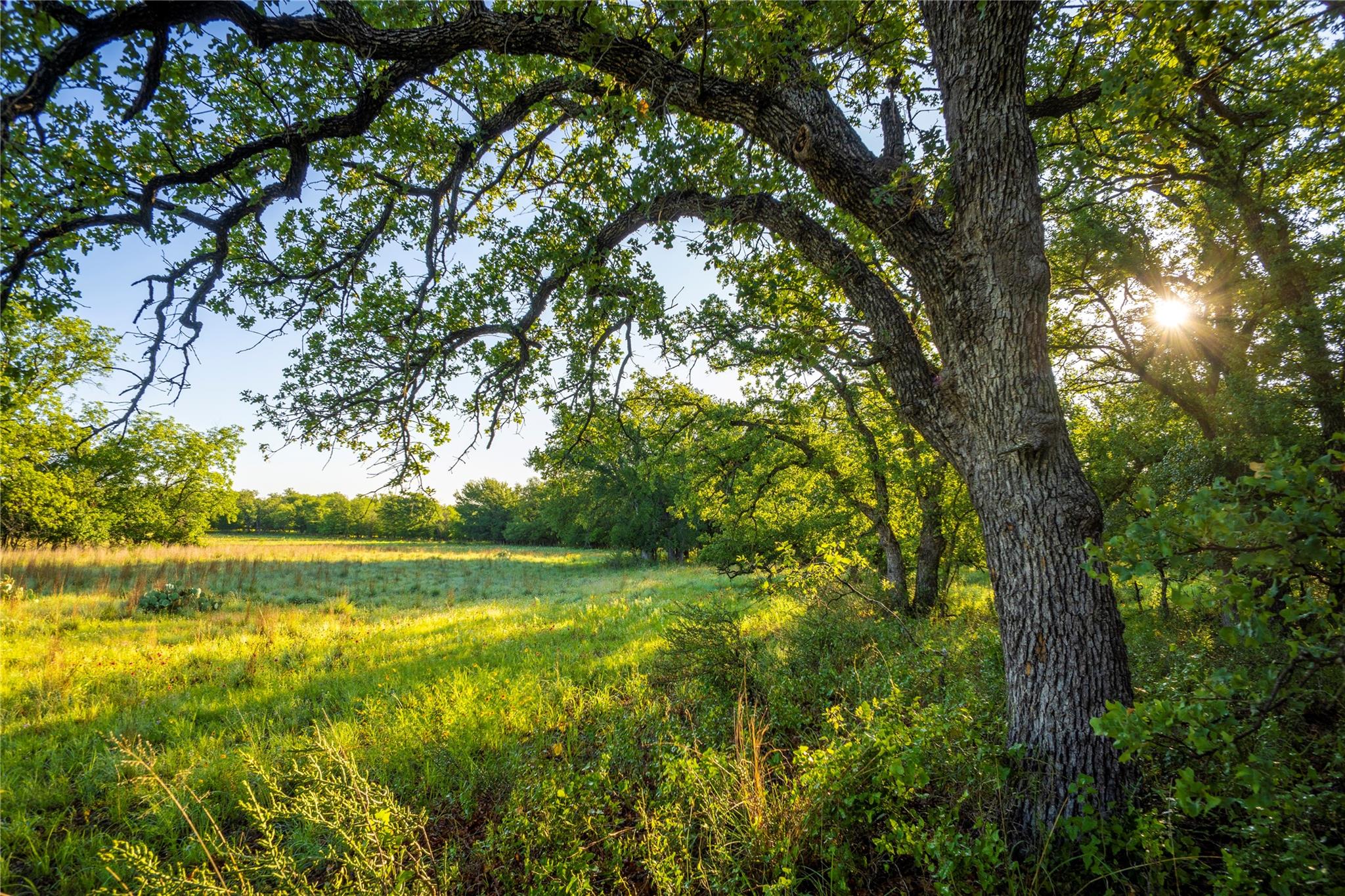 Tbd Creek 260 Richland Springs TX 76871