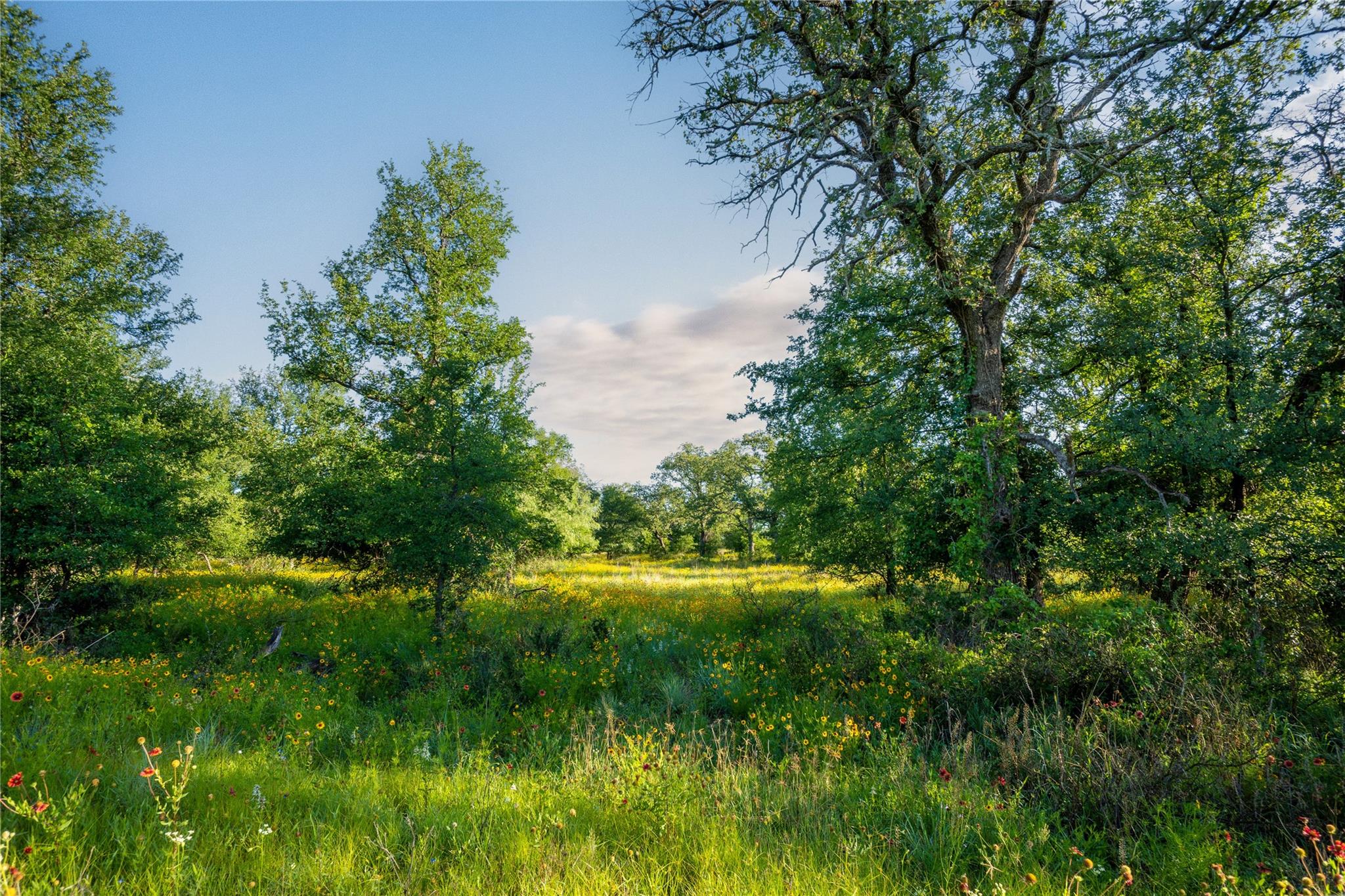 Tbd Creek 260 Richland Springs TX 76871