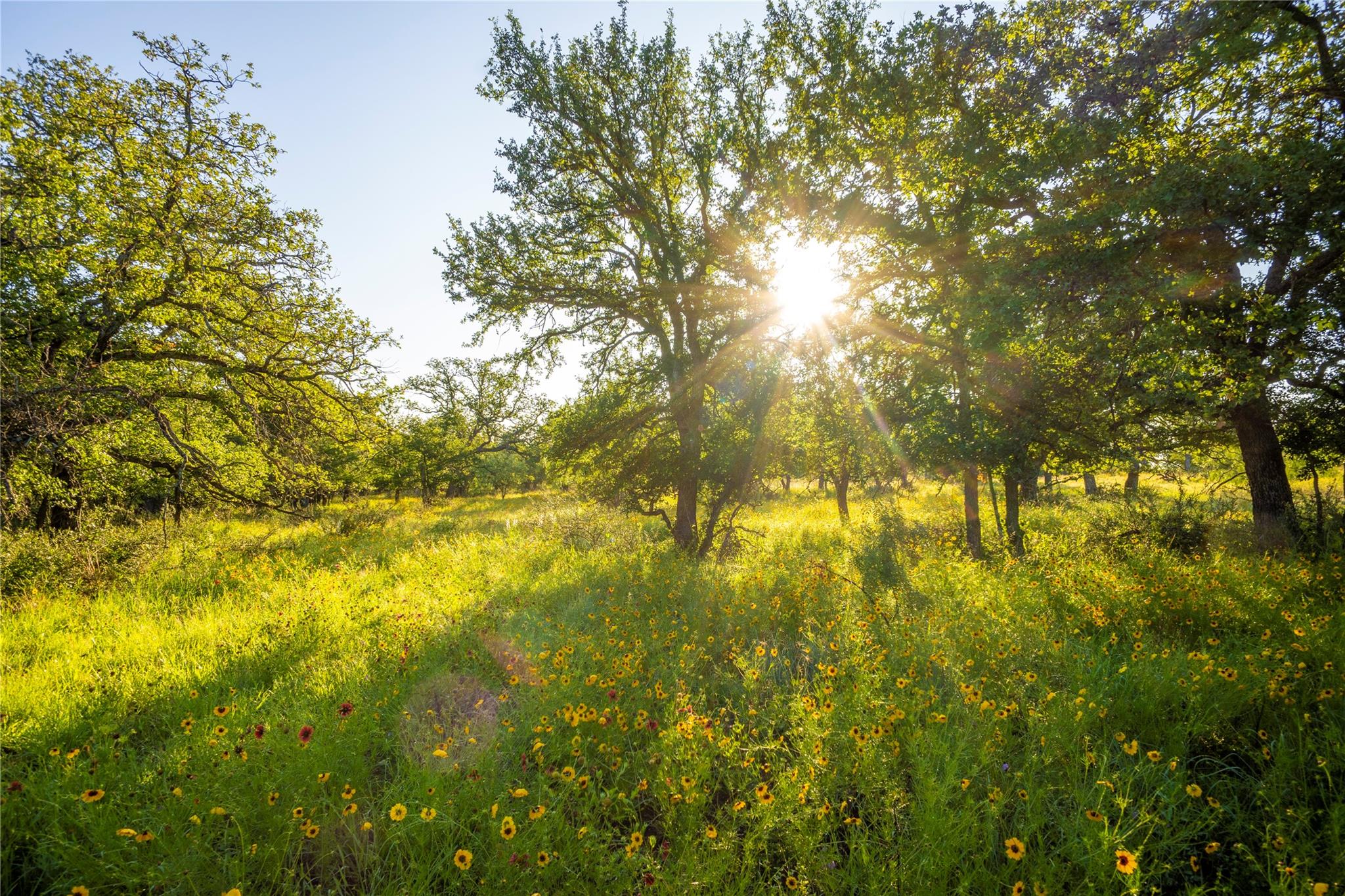 Tbd Creek 260 Richland Springs TX 76871