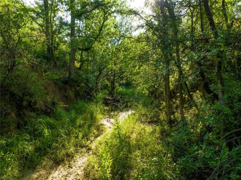 Tbd Creek 260 Richland Springs TX 76871