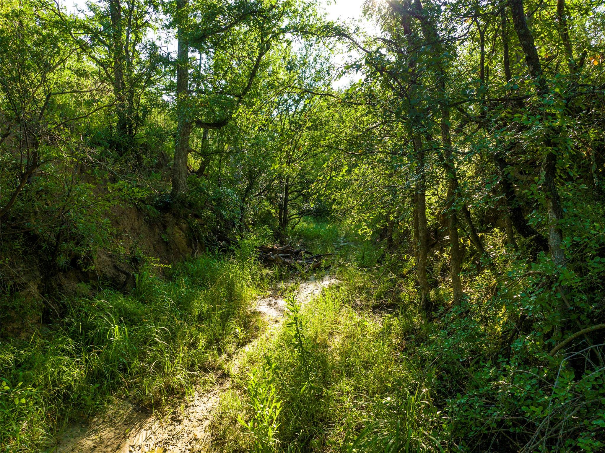 Tbd Creek 260 Richland Springs TX 76871