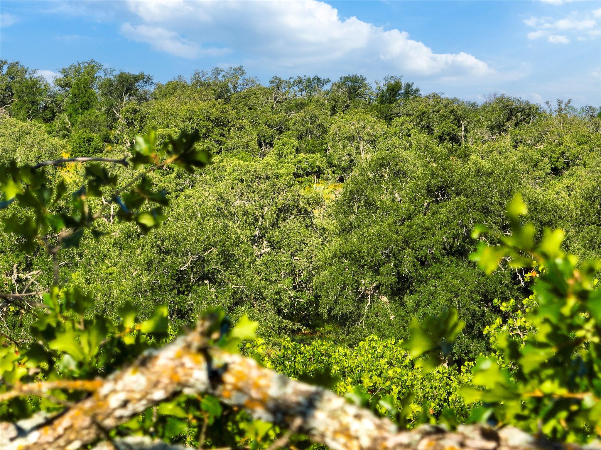 Tbd Creek 260 Richland Springs TX 76871