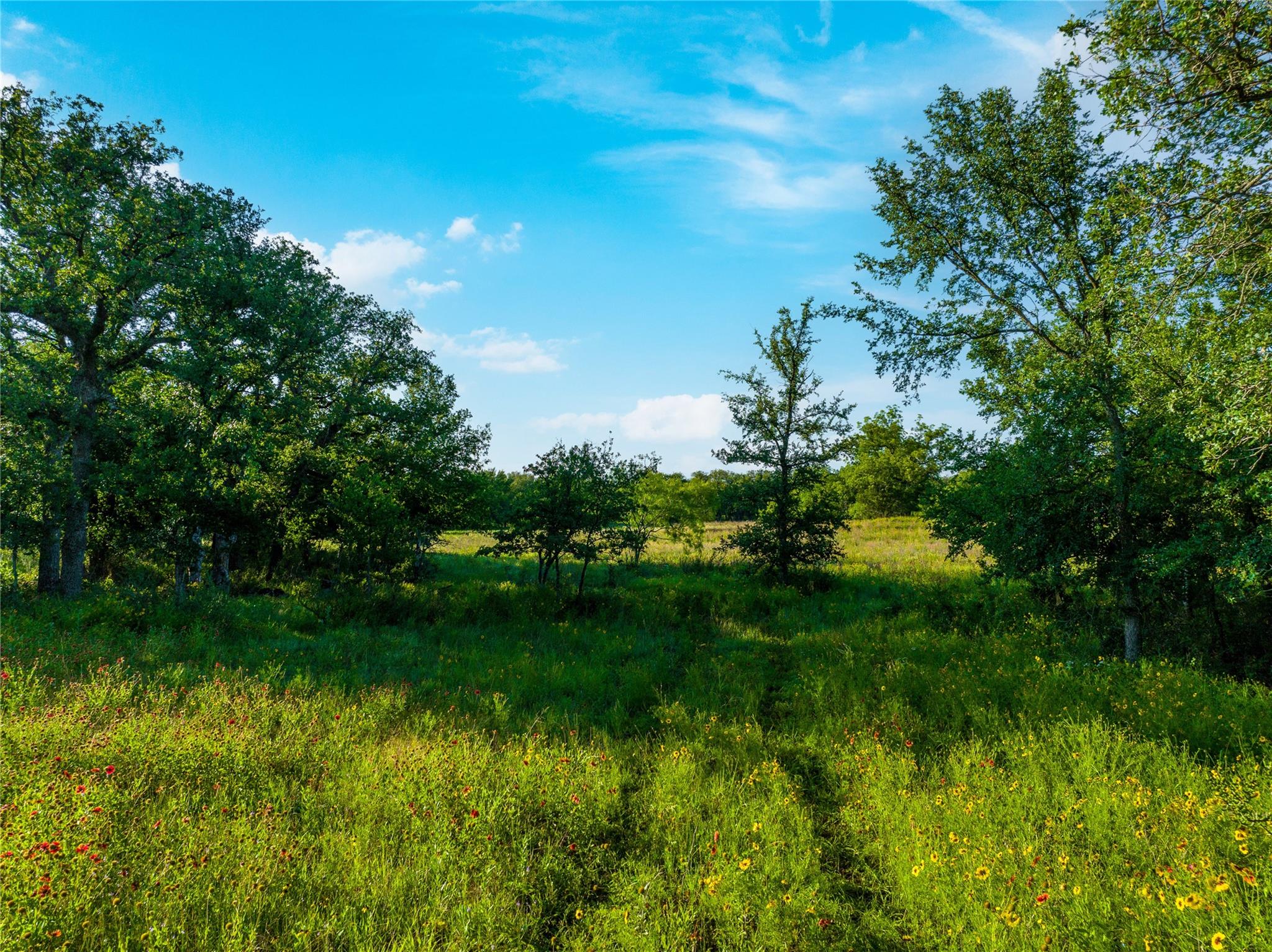 Tbd Creek 260 Richland Springs TX 76871