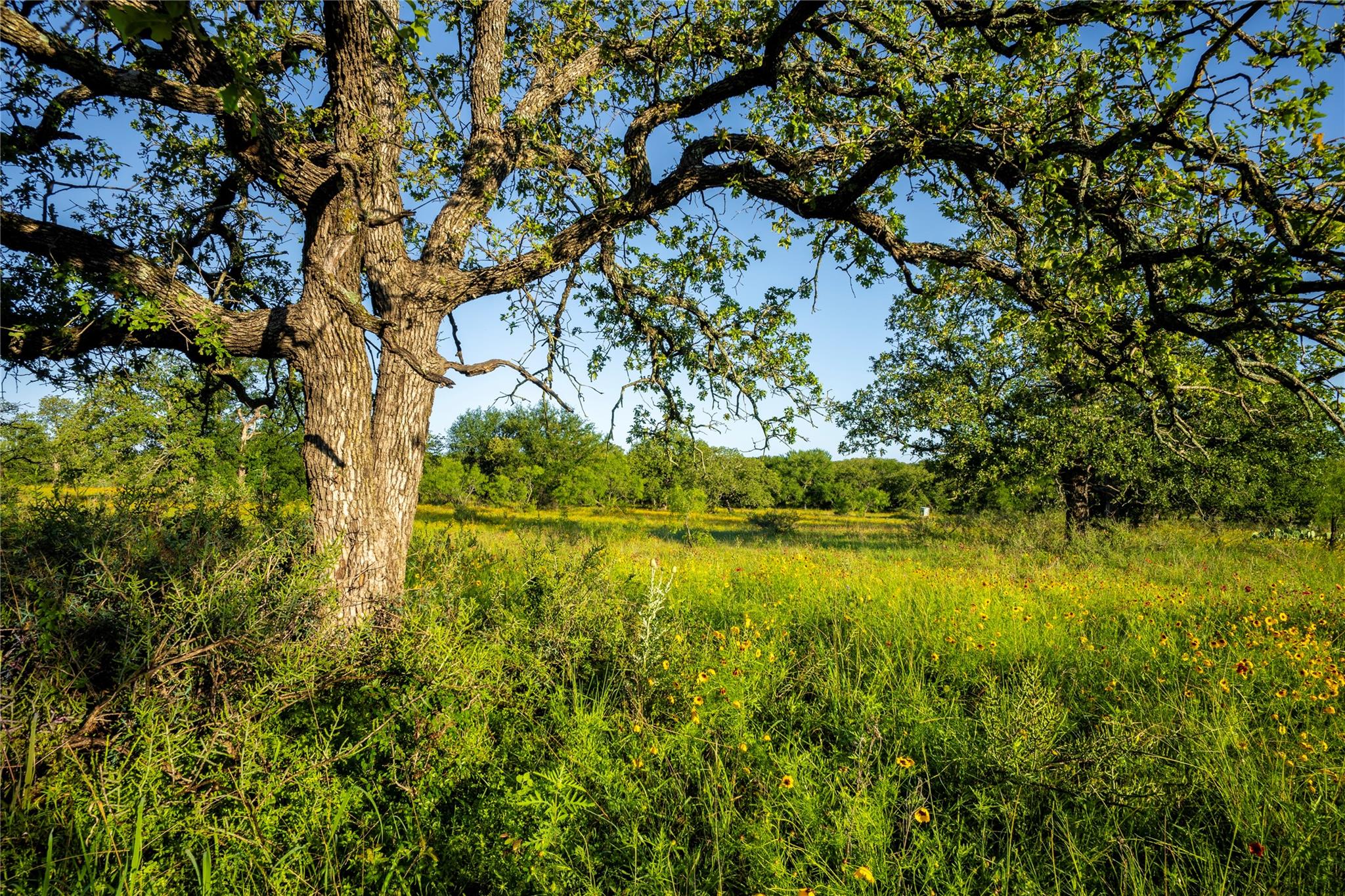 Tbd Creek 260 Richland Springs TX 76871
