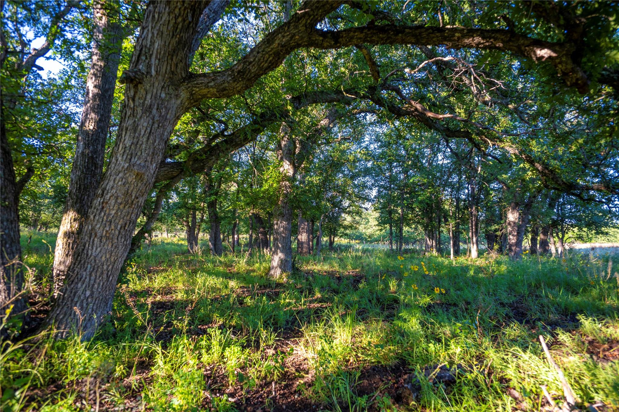 Tbd Creek 260 Richland Springs TX 76871