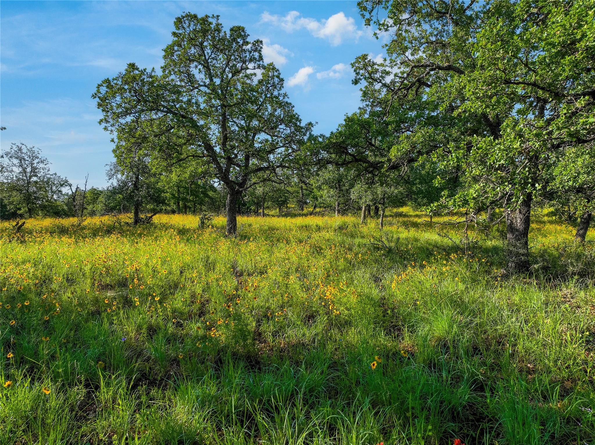 Tbd Creek 260 Richland Springs TX 76871
