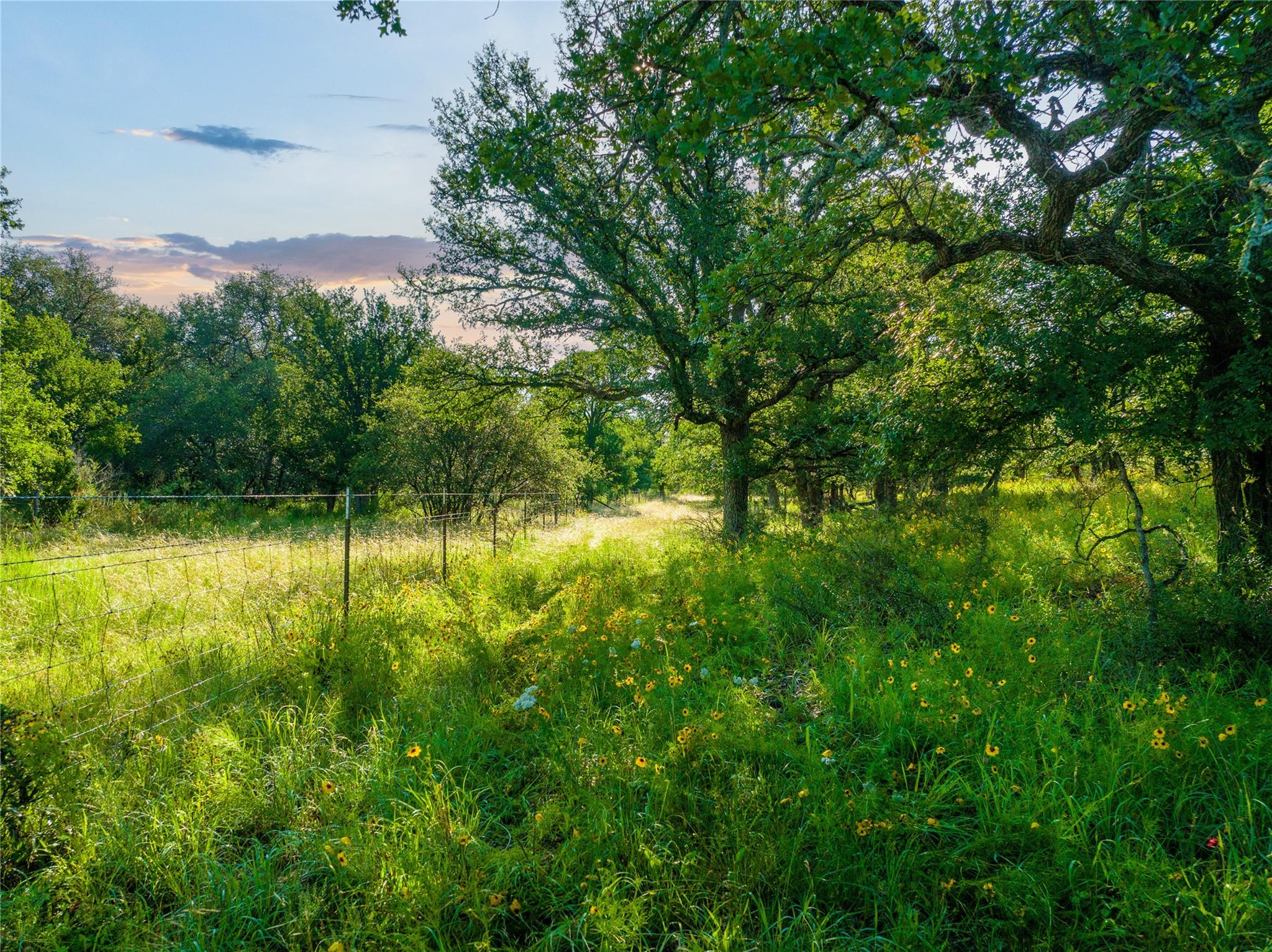 Tbd Creek 260 Richland Springs TX 76871