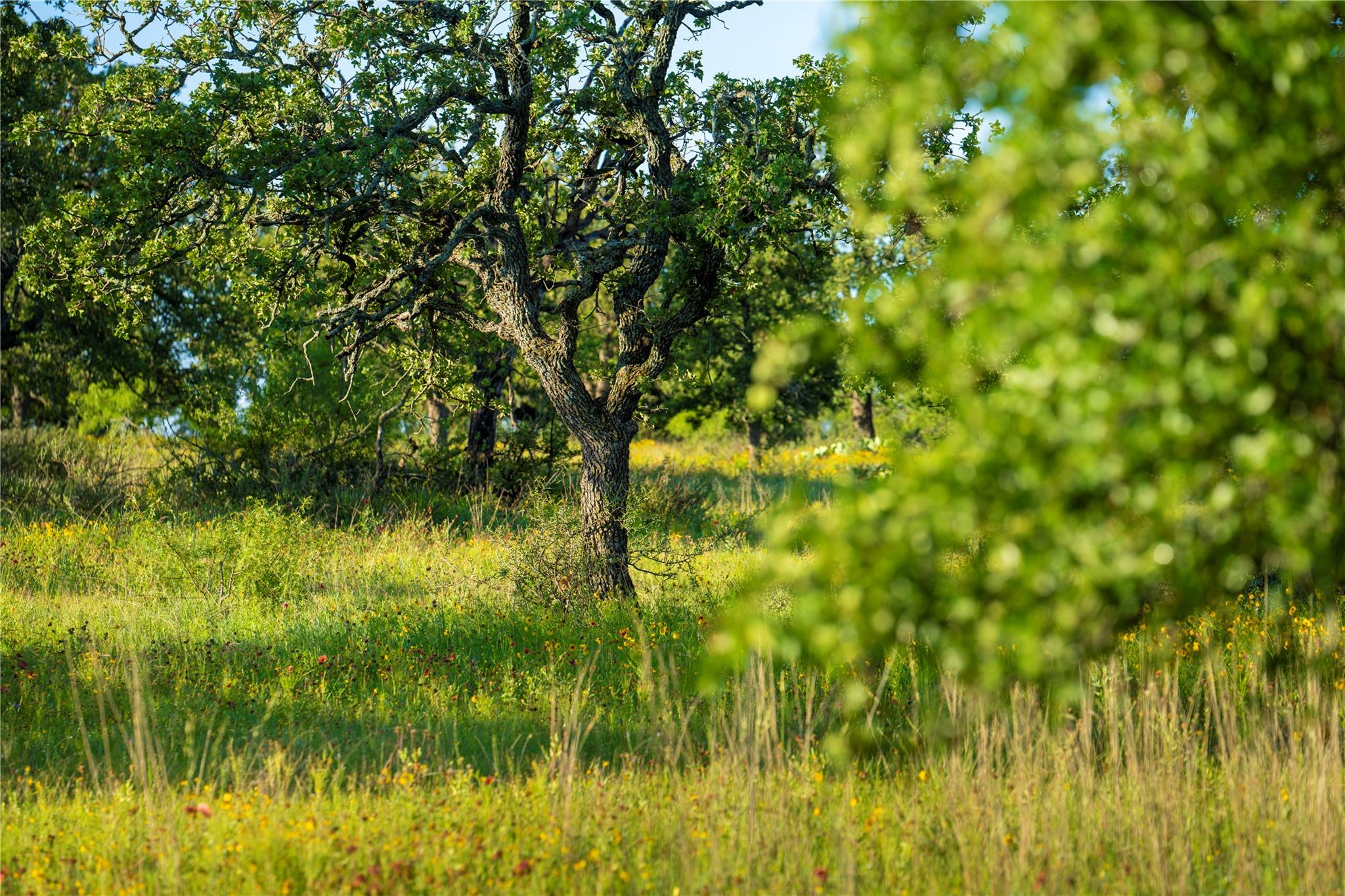 Tbd Creek 260 Richland Springs TX 76871