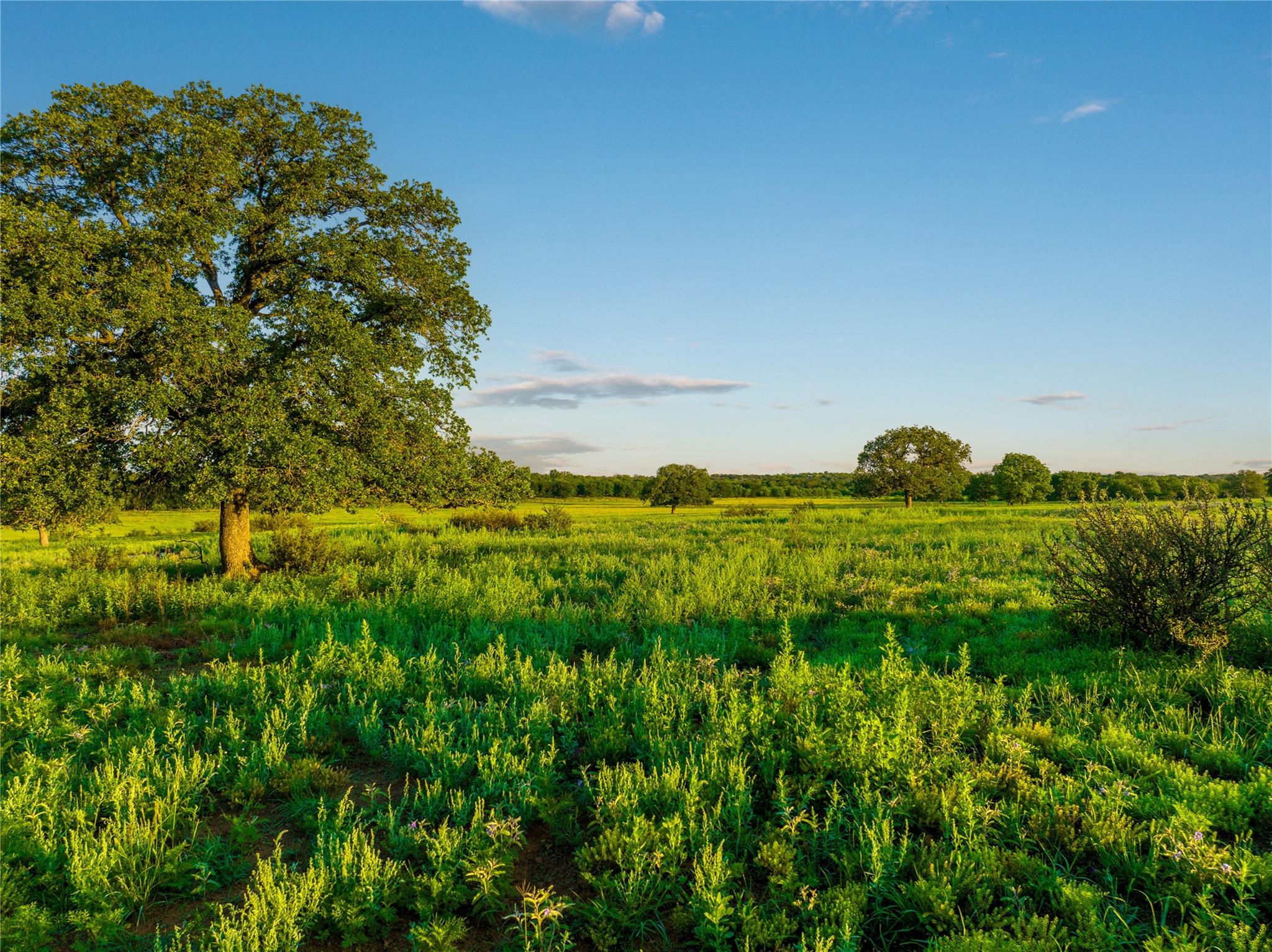 Tbd Creek 260 Richland Springs TX 76871