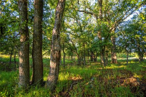 Tbd Creek 260 Richland Springs TX 76871