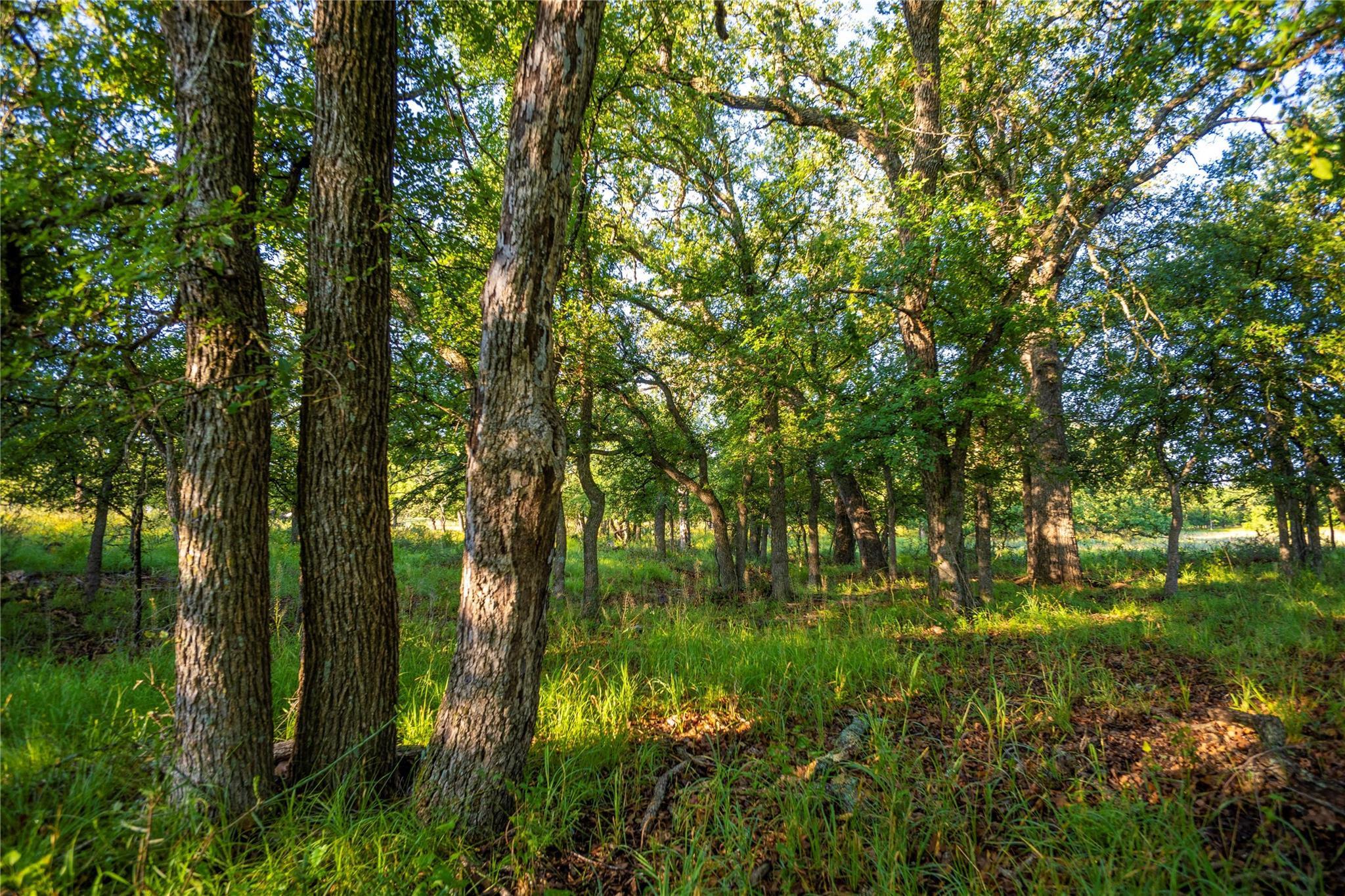 Tbd Creek 260 Richland Springs TX 76871