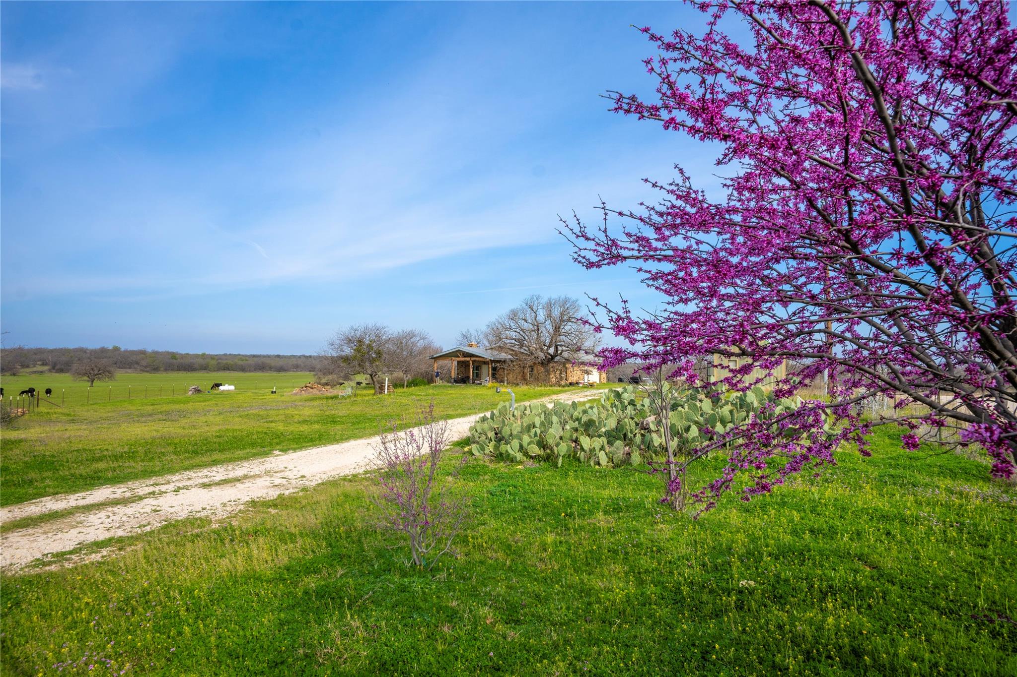 Tbd Creek 260 Richland Springs TX 76871