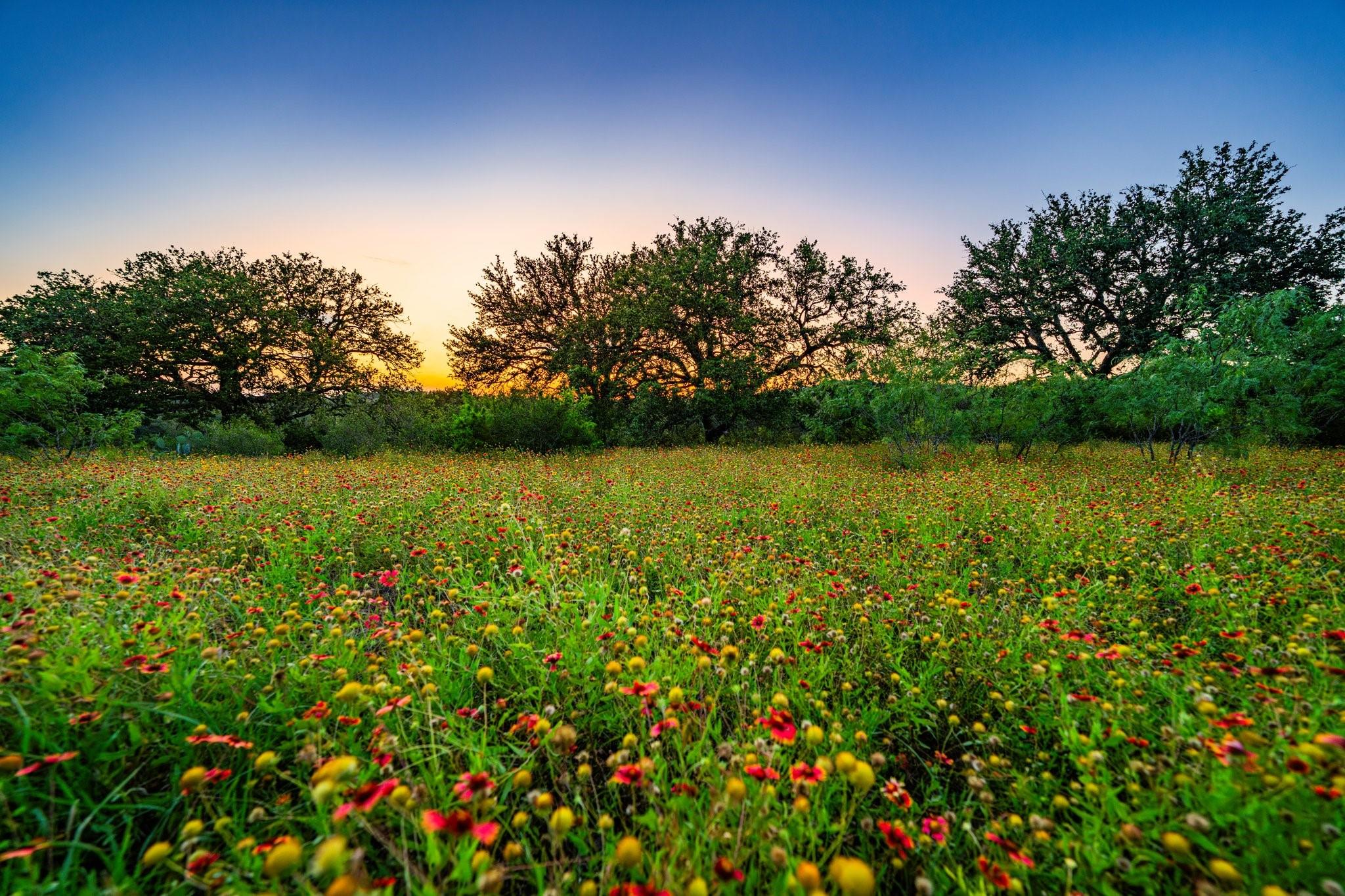 9738 E Fm 1431 Marble Falls TX 78654
