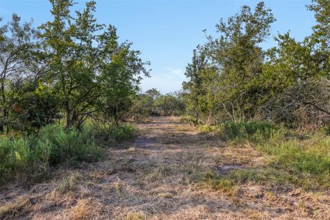 Tbd Fm Road 1644 Calvert TX 77837