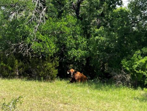 1315 Crossfire Trail Killeen TX 76542