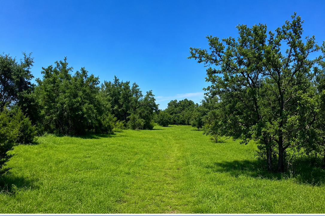 Tbd E Fm 580 Lampasas TX 76550
