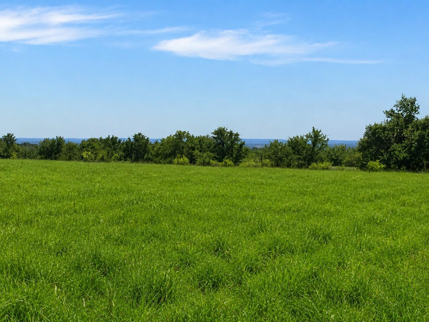 Tbd E Fm 580 Lampasas TX 76550