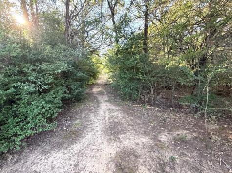 1127 County Road 234 Road Milano TX 76556